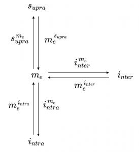 me^infra infra^me me^inter inter^me me^supra supra^me